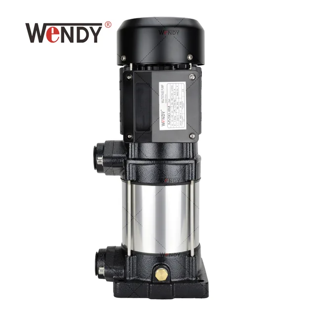 Cast iron vertical multistage pump