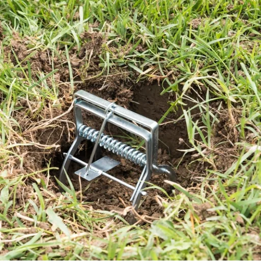 Scissors Mole Trap