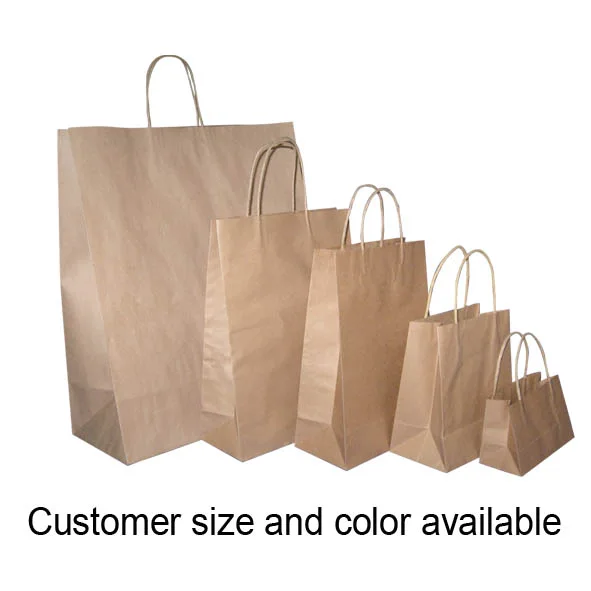 Brown kraft paper bag with twisted handle