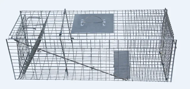 Foldable animal trap cage