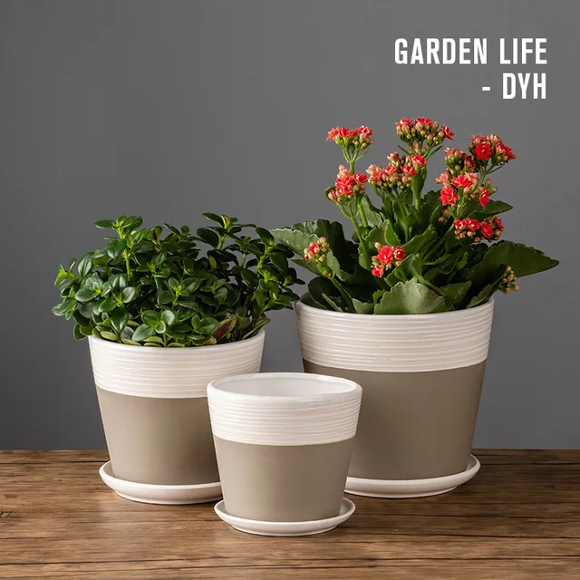 Flowerpot and chassis