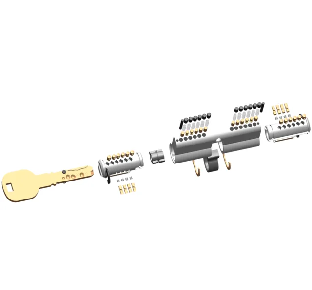 Euro cylinder with magnetic, butterfly pins and snake key way