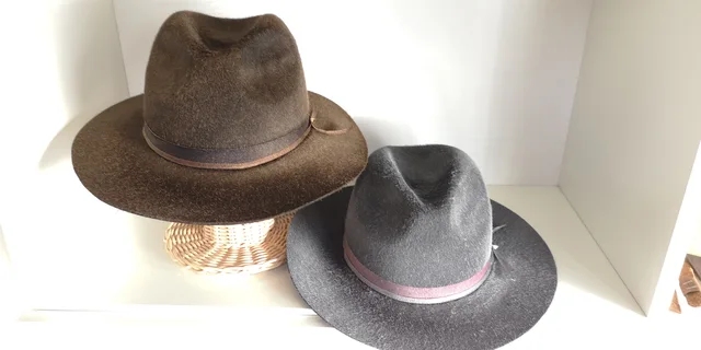 Wool Felt Hat