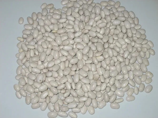 Japanese Kidney Beans