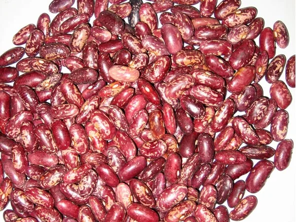 Purple Kidney Beans