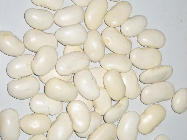 Yunnan Kidney Bean