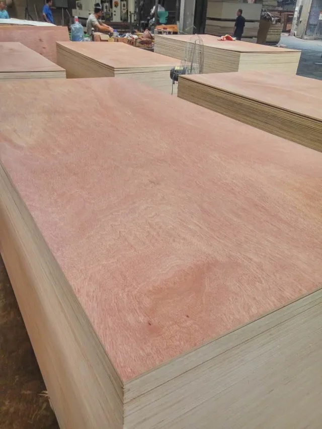 18MM Okoume / Bintangor plywood, HOT plywood, Full poplar plywood