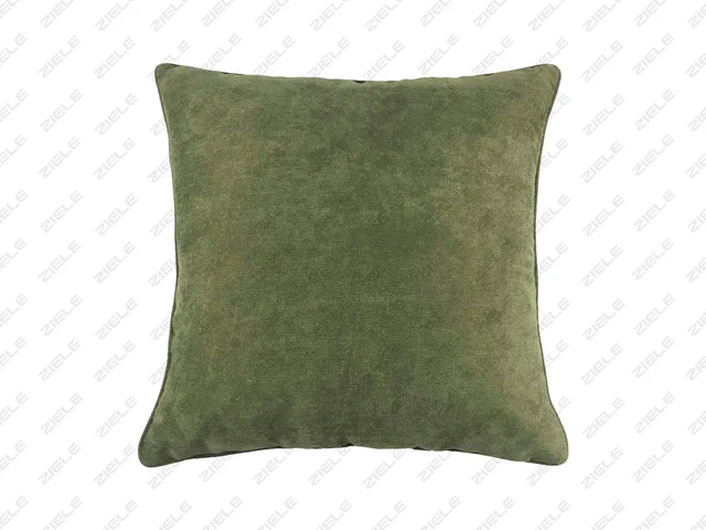 Cushion