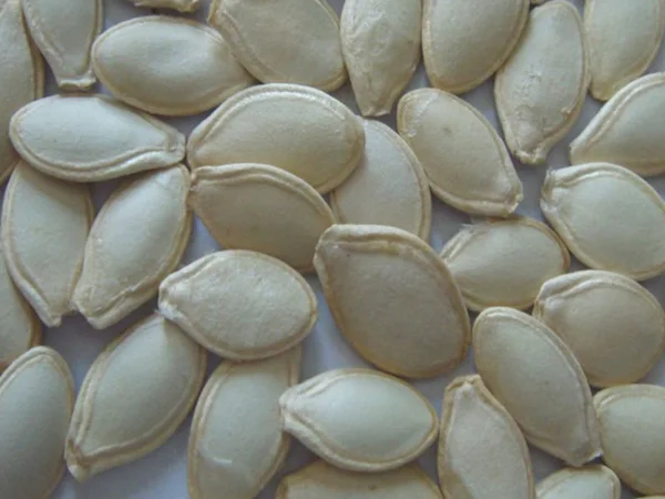 Shine Skin Pumpkin Seeds