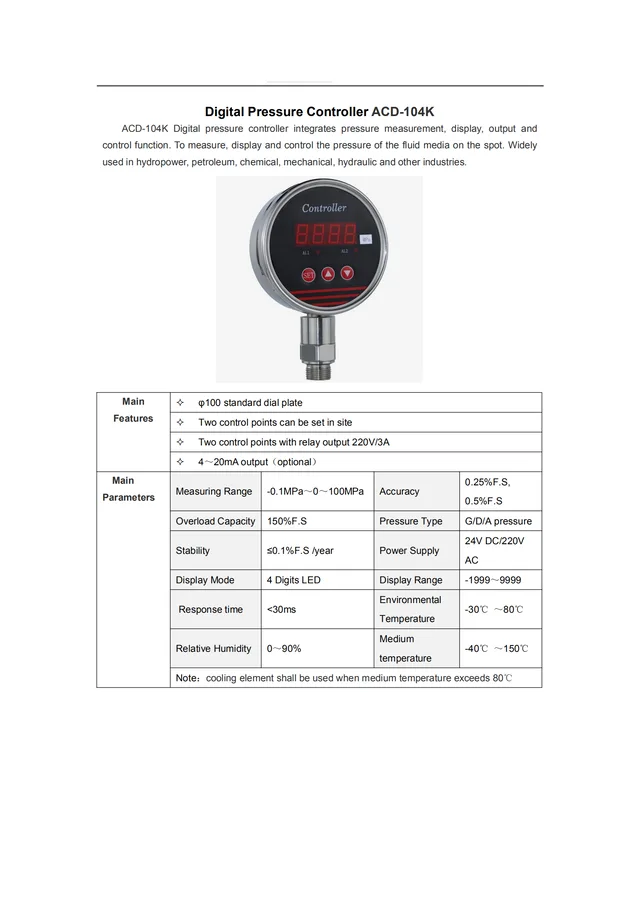 Digital Pressure Gauges