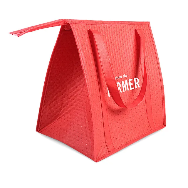 Cooler bag