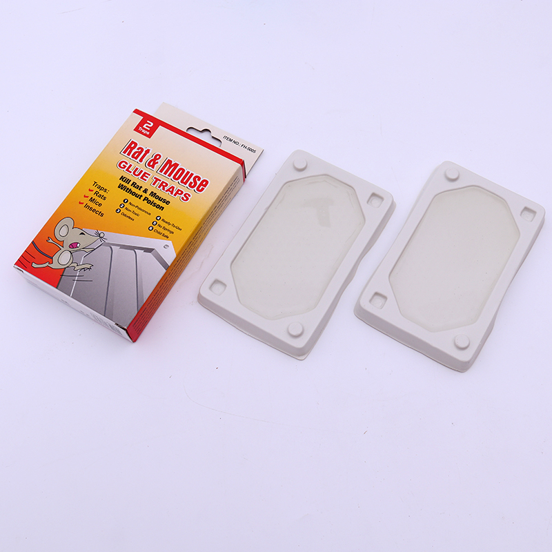 Mouse glue trap
