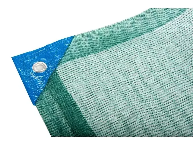 Olive net
