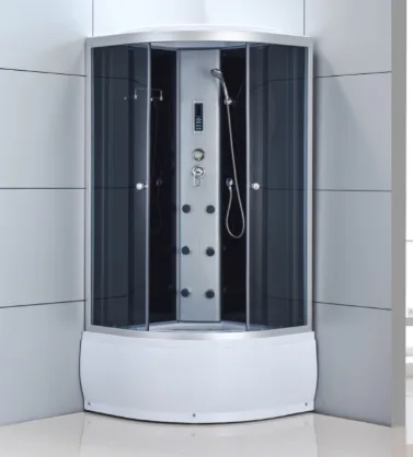 Steam shower room
