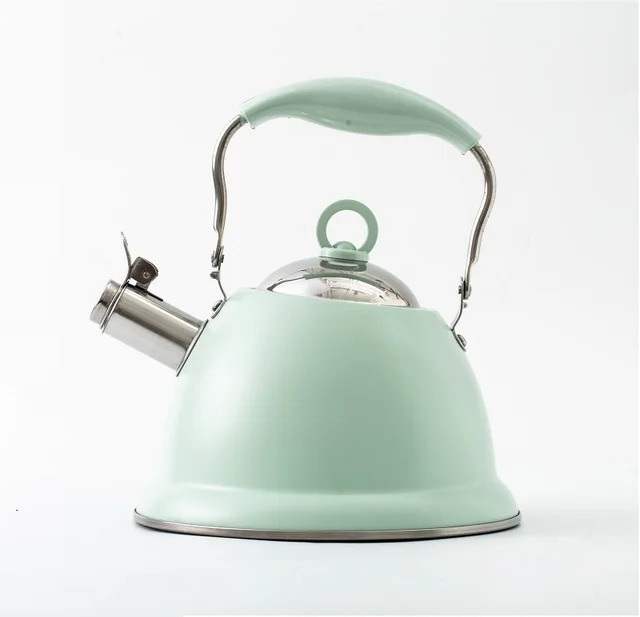 Stainless steel whistling kettle