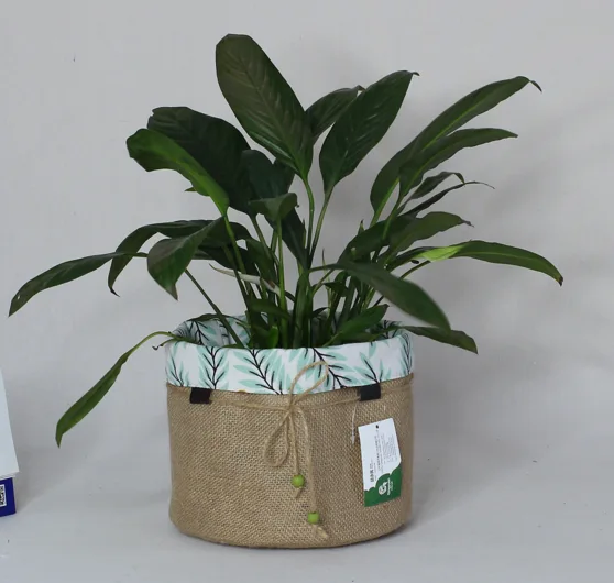 Storage basket