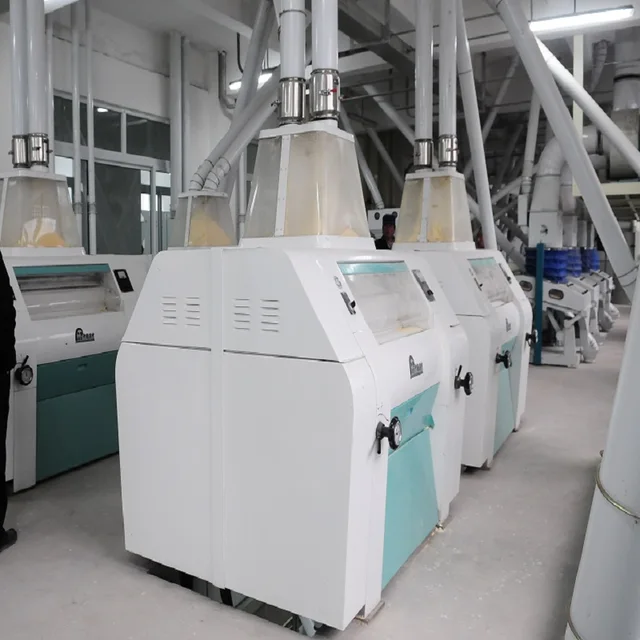 100Ton/Day Maize Flour Milling Plant with Steel Structure