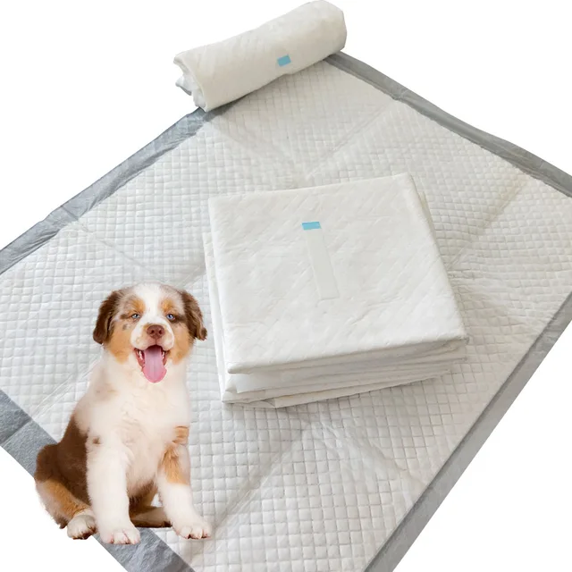 Cinch sticker puppy pad