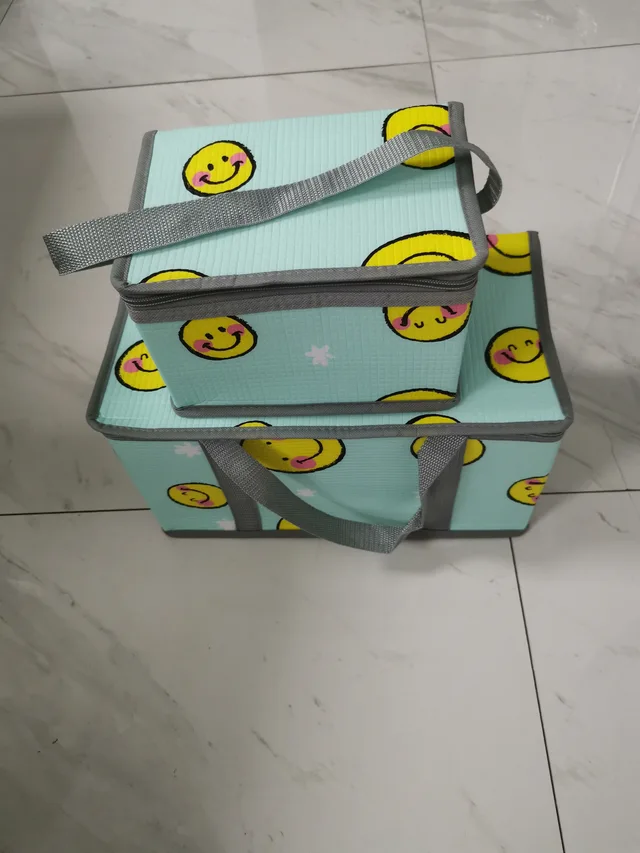 Food grade insulated Cooler Bag