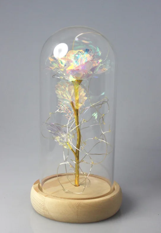 Glass dome with LED Flower decoration and bamboo base
