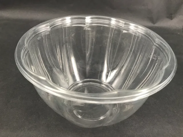 Disposable PET food container with lid