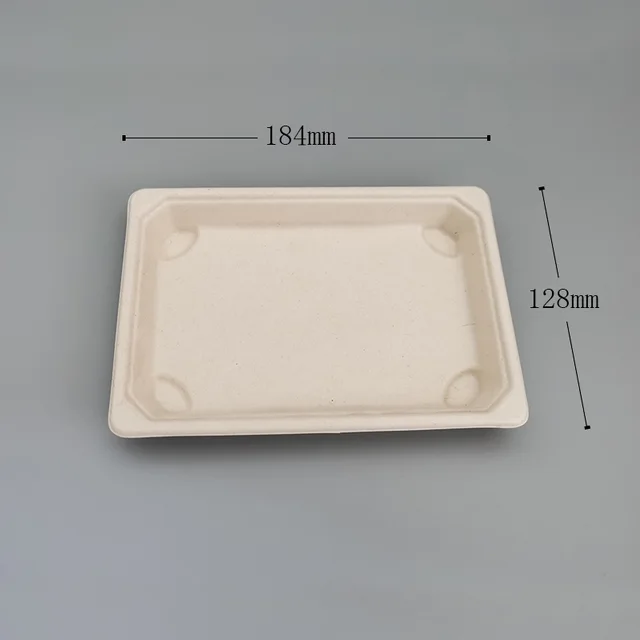 Sushi Tray -Small Rect 2