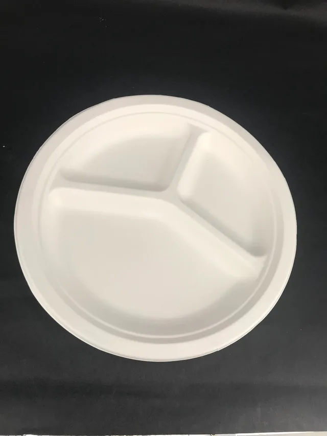 Disposable sugarcane plate