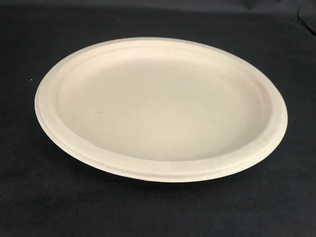 Disposable sugarcane plate