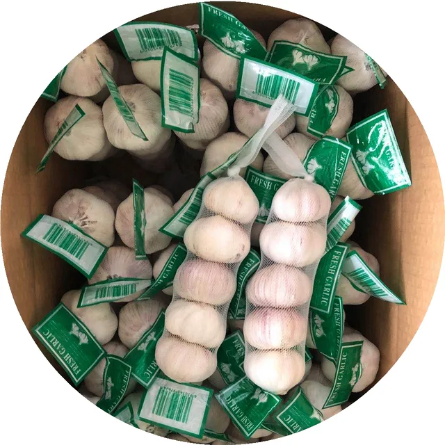200g 250g 500g small packed garlic price in China