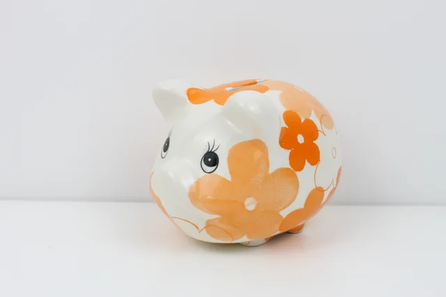 Ceramic Piggy Bank