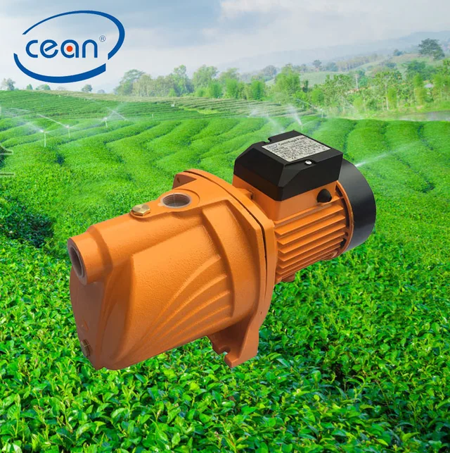 Jsw Jet Pump