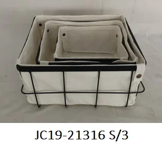 Iron storage