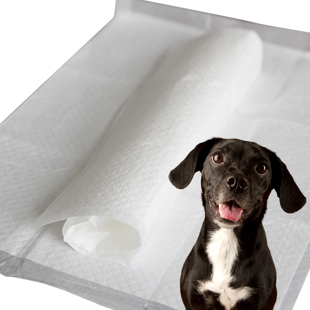Puppy pad,puppy pads,puppy training pad,pet pads,pee pads