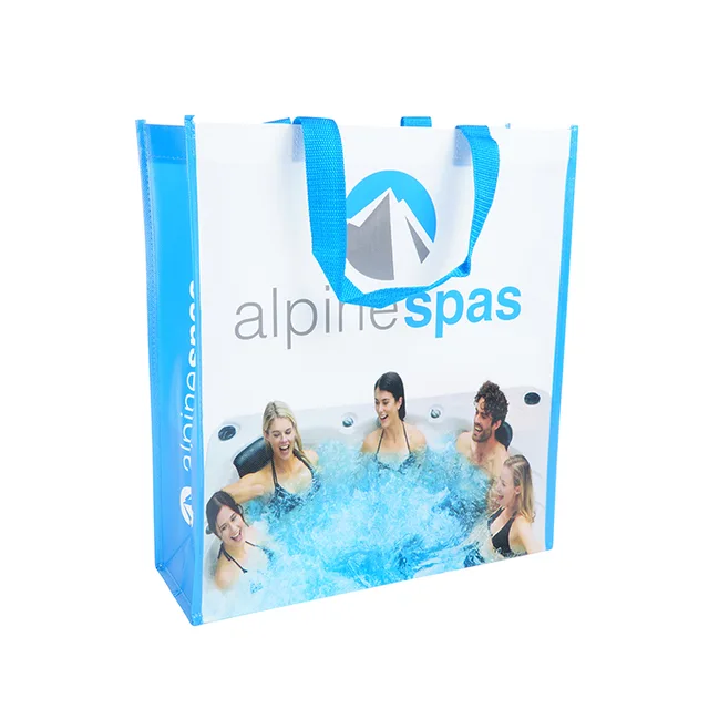 Eco Friendly Recyclable Customized print promotional non woven bag pp non woven shopping bag