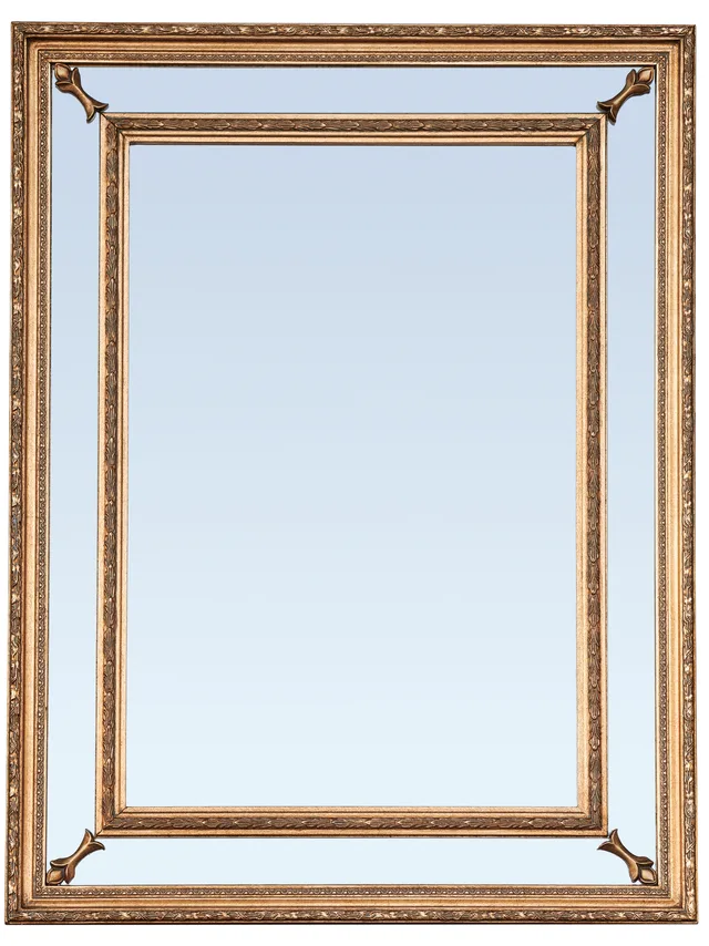 14f-483 Mirror