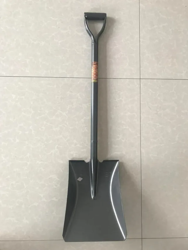 S519Y
