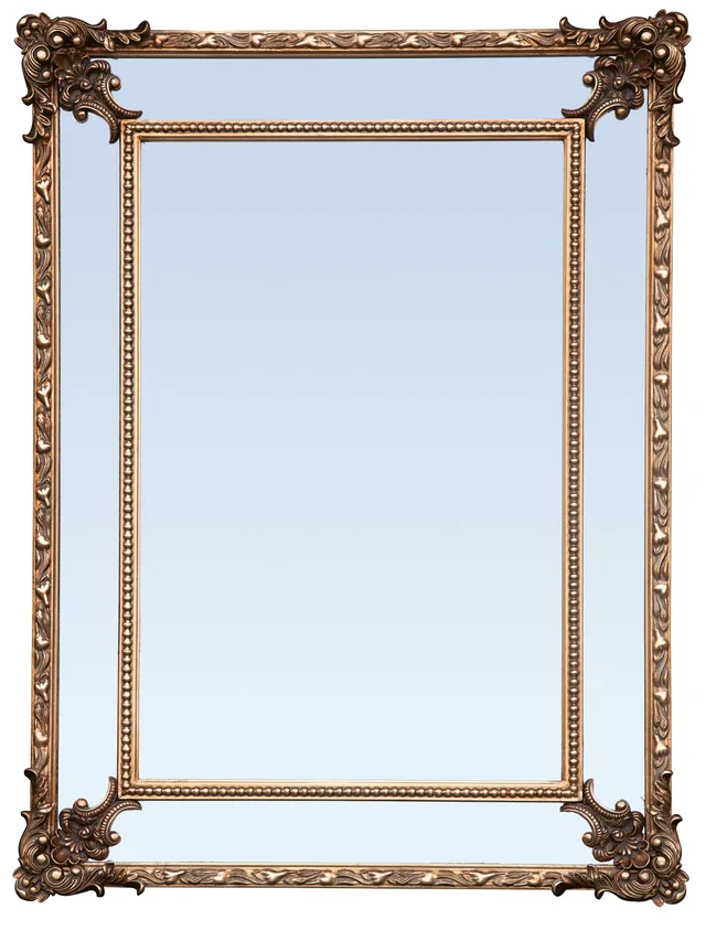 16f-602 Mirror