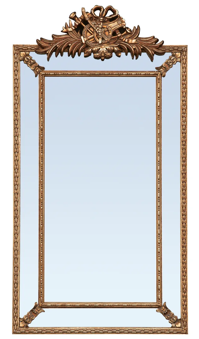 13f-423 Mirror