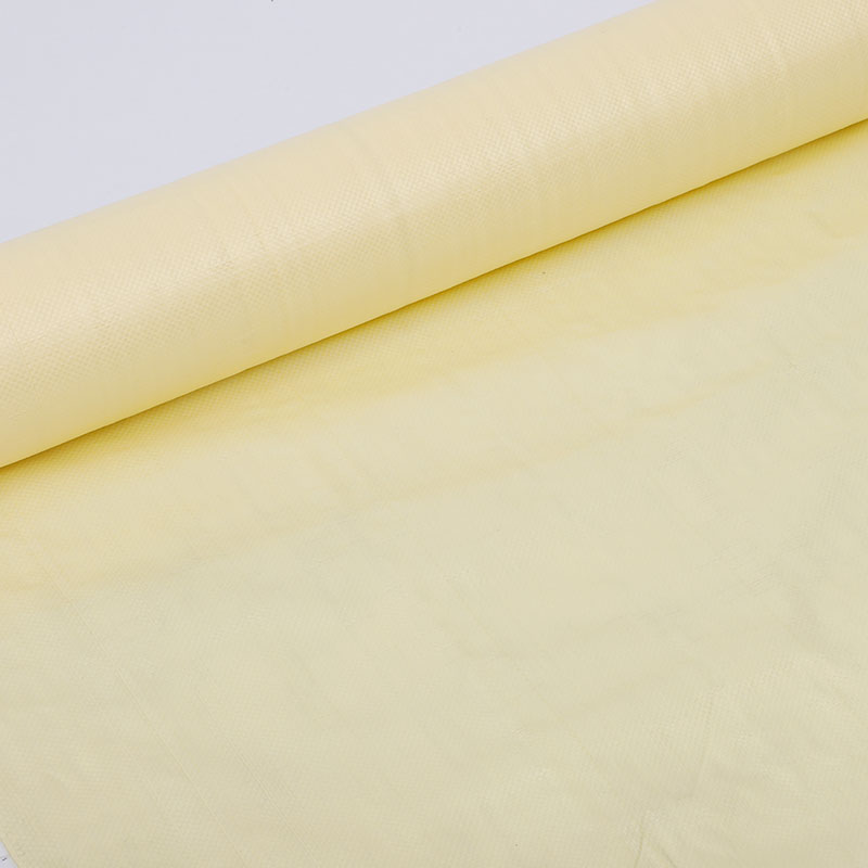 Pp woven fabric/geotextile