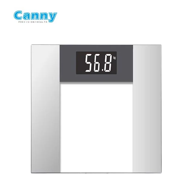 Body scale