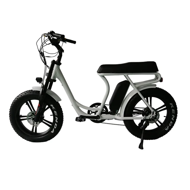 20*4.0inch electrci fat tyre bike with CE