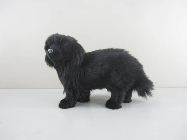Newfoundland