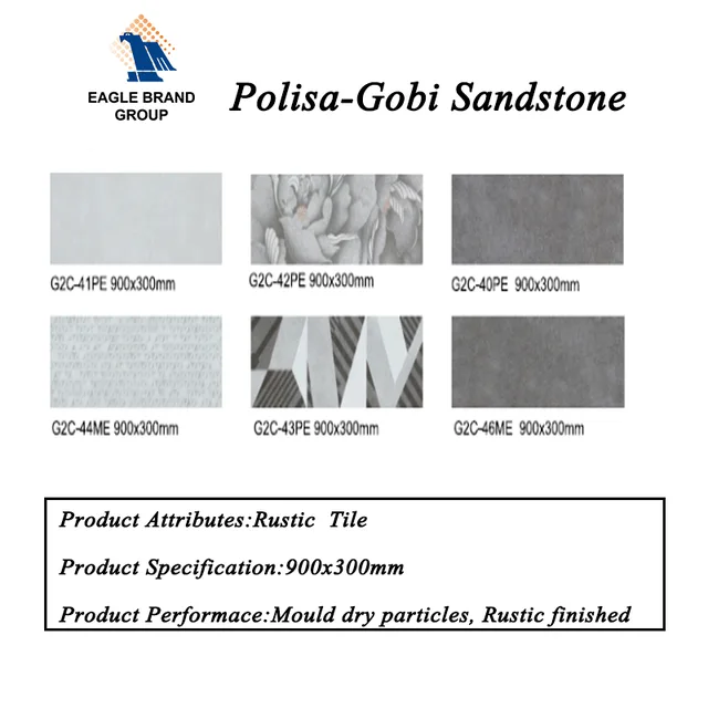 Polisa-Gobi Sandstone40-46