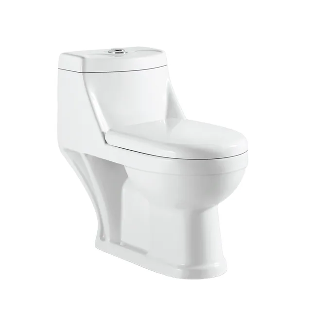 Medyag OEM/ODM Water Closet Porcelain 1-piece Elongated Dual Flush Washdown One Piece Toilet Bowl
