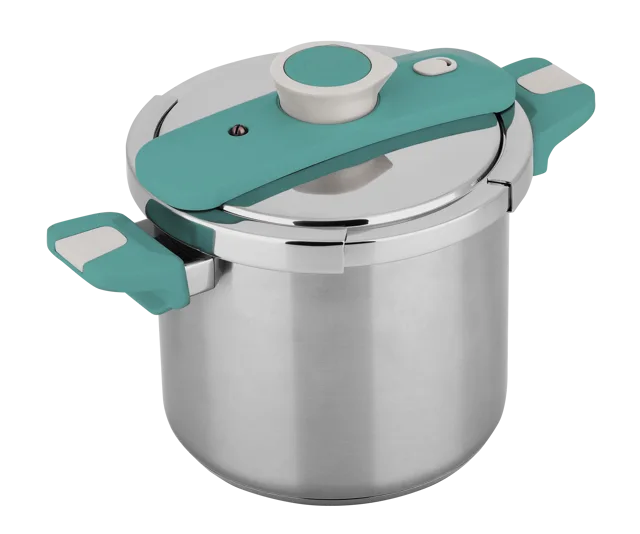 Colourful High Pressure Cooker
