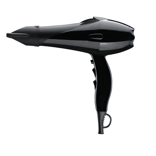 Hair dryer