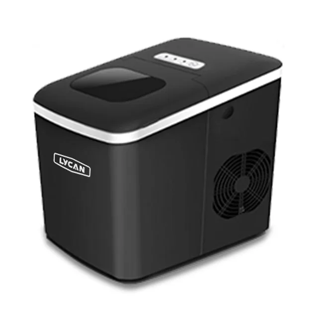 Ice maker