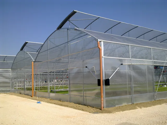 Polycarbonate Greenhouse Panel for Middle East