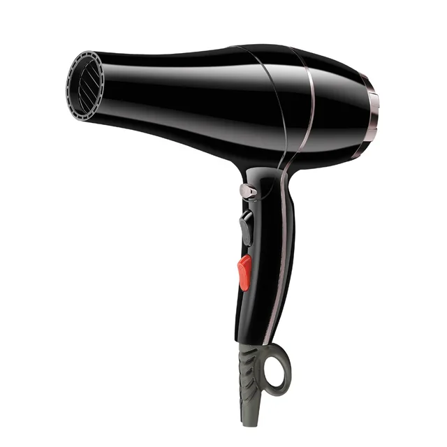 Hair Dryer AC Motor