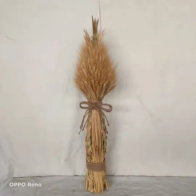 Dried wheat bouquet /wheat stems